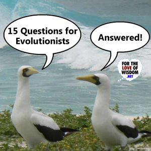 15 Questions for Evolutionists - Answered